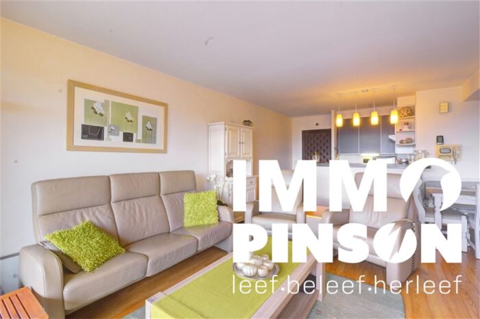 Zongericht appartement vlakbij het strand en de zeedijk! te koop in De Panne - Immo Pinson
